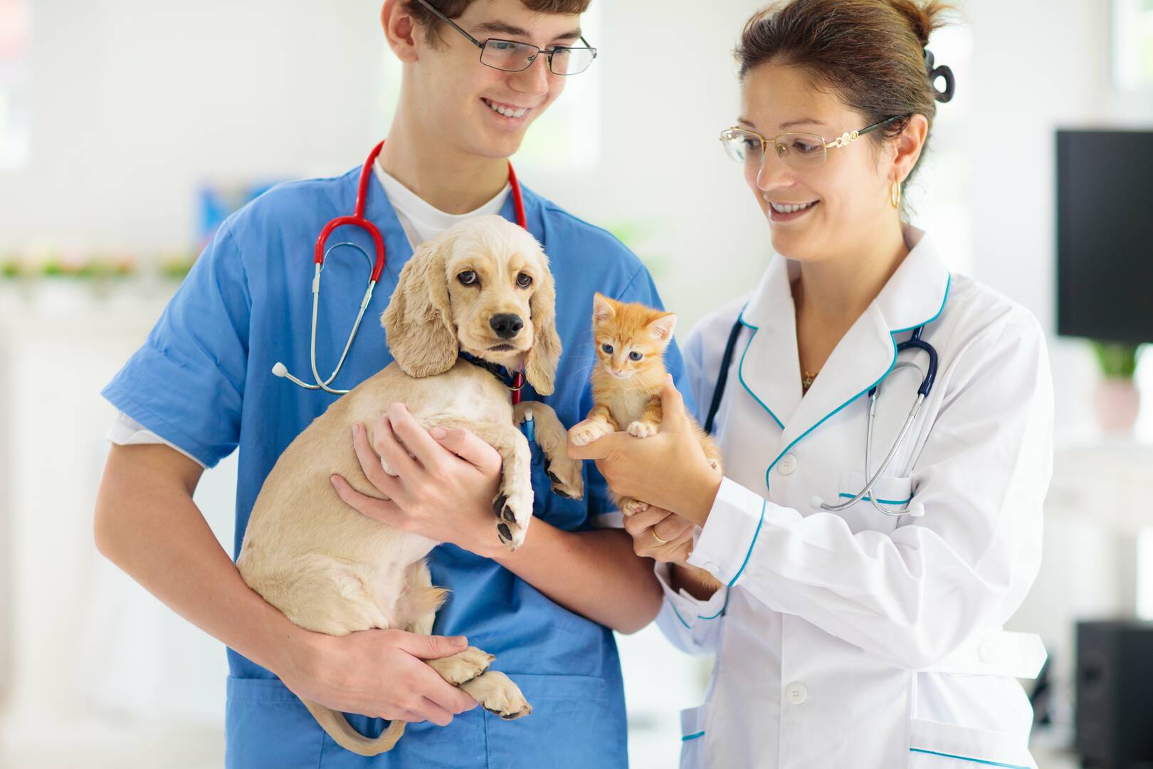 Pooch Perks